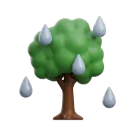 Árboles plantados